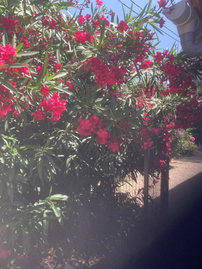 Au Coeur De La Pinede De 1 A 4 Personnes Βίλα Langlade Εξωτερικό φωτογραφία
